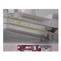 Green Coffee Cleaning and Sorting